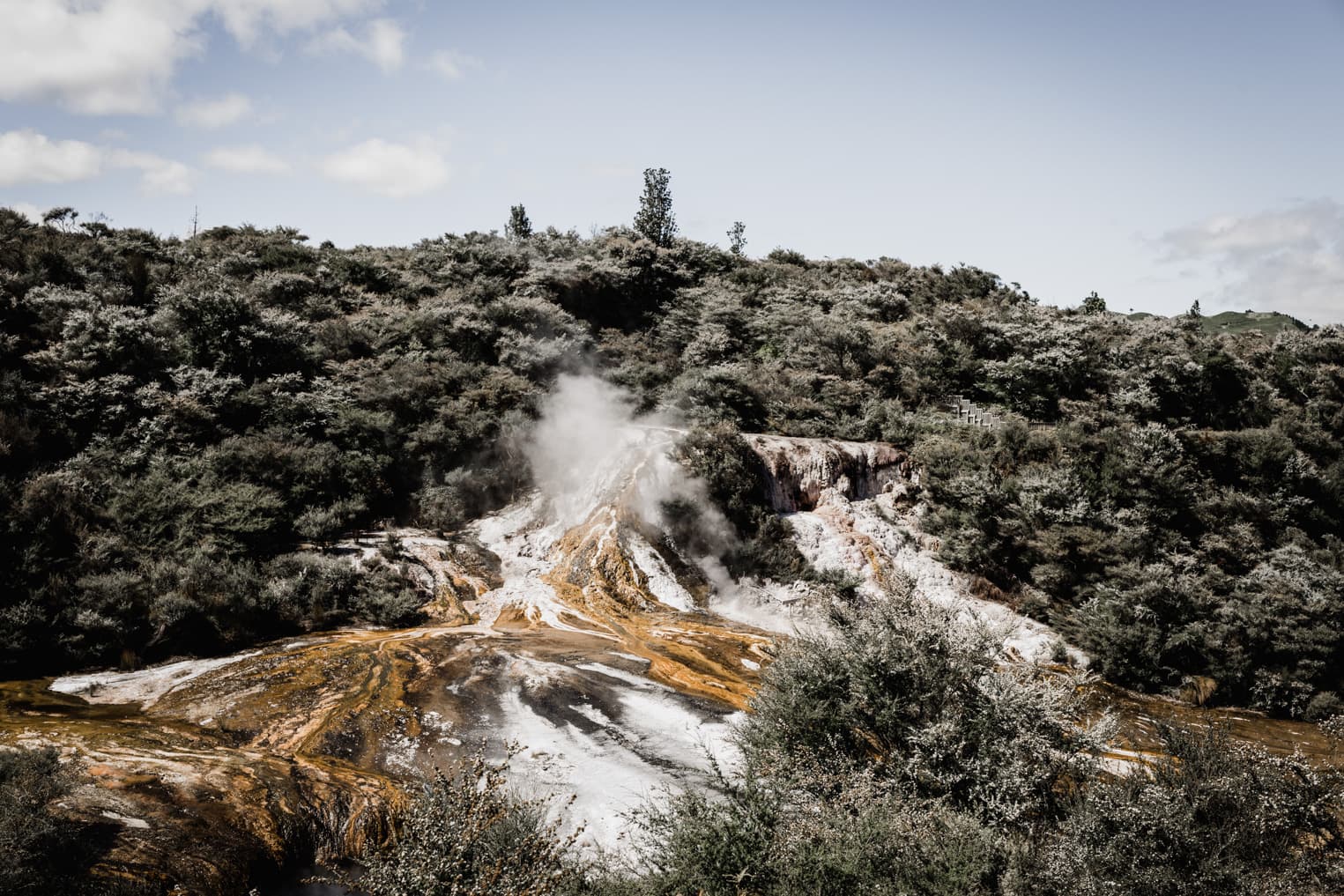 Vulkanlandschaft in Neuseeland