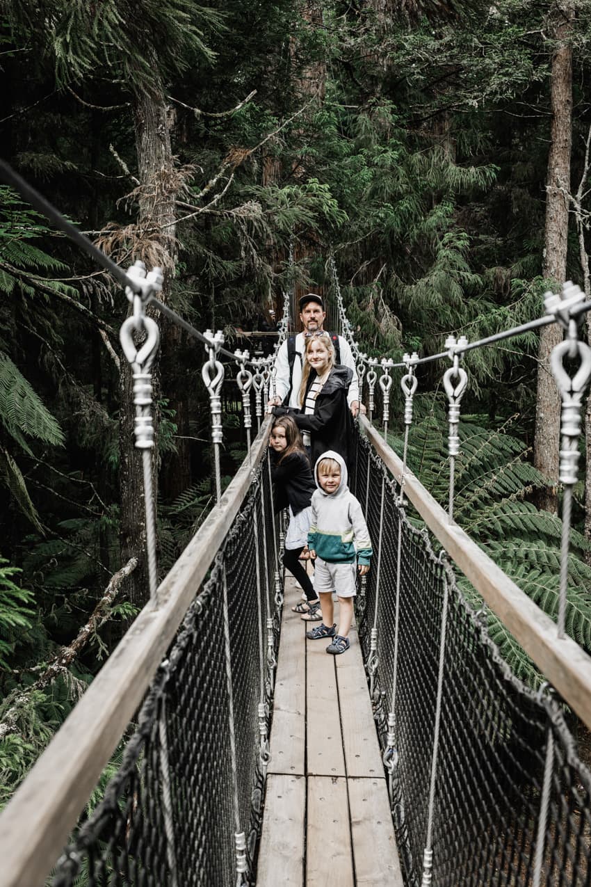 Hangebrücke in einem Baumwipfelpfad